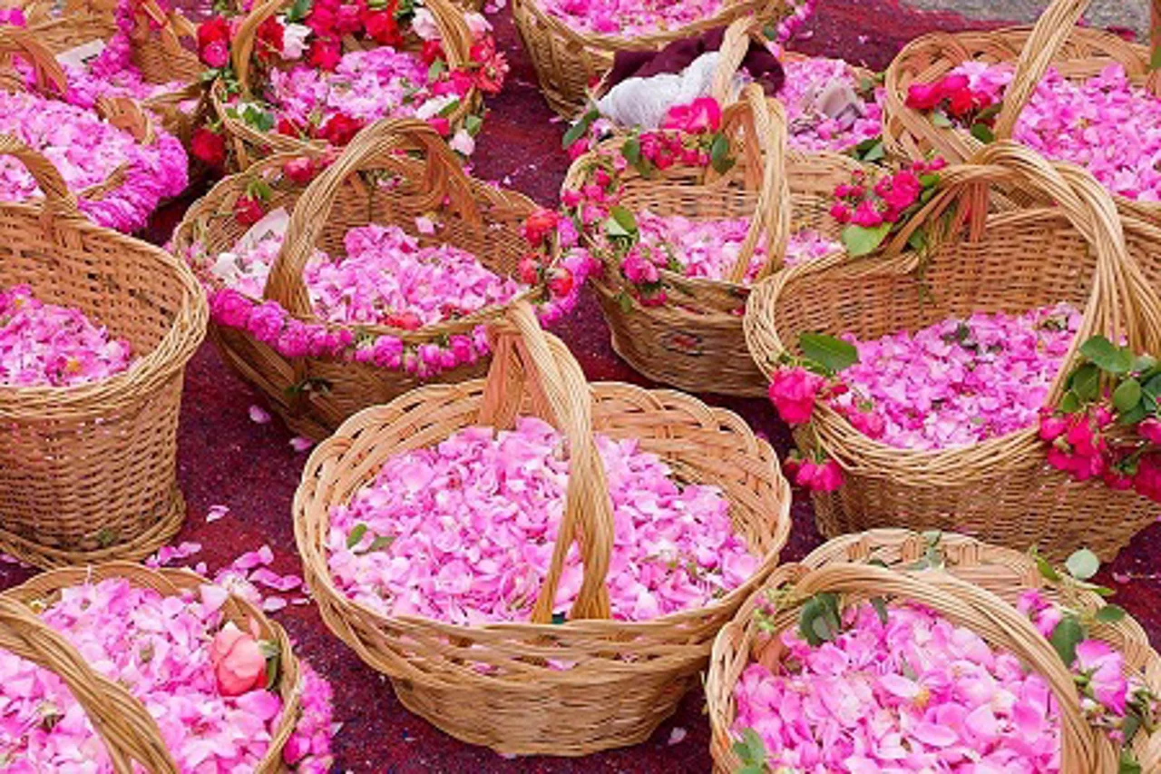 گلاب و این همه خاصیت!